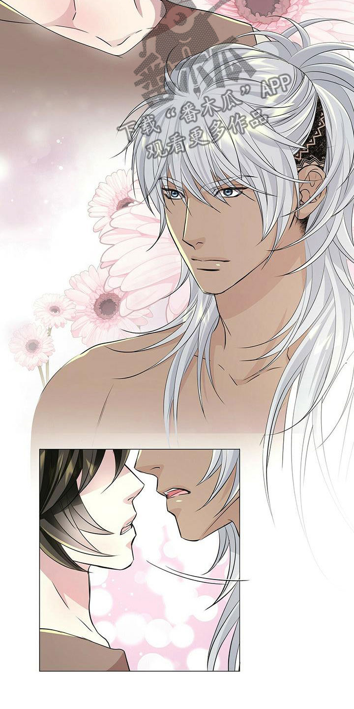 狼王子漫画,第155章：【第二季】毒素扩散3图