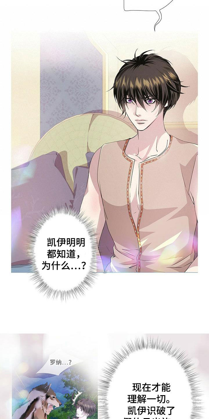 狼王子漫画,第149章：【第二季】银发5图
