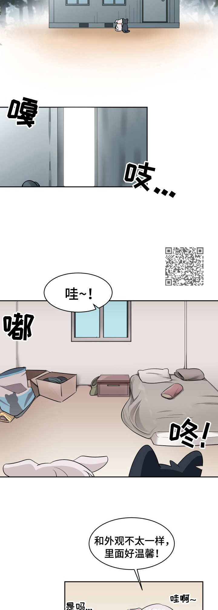 阿喵阿旺背心尺码测评漫画,第2章：收留1图