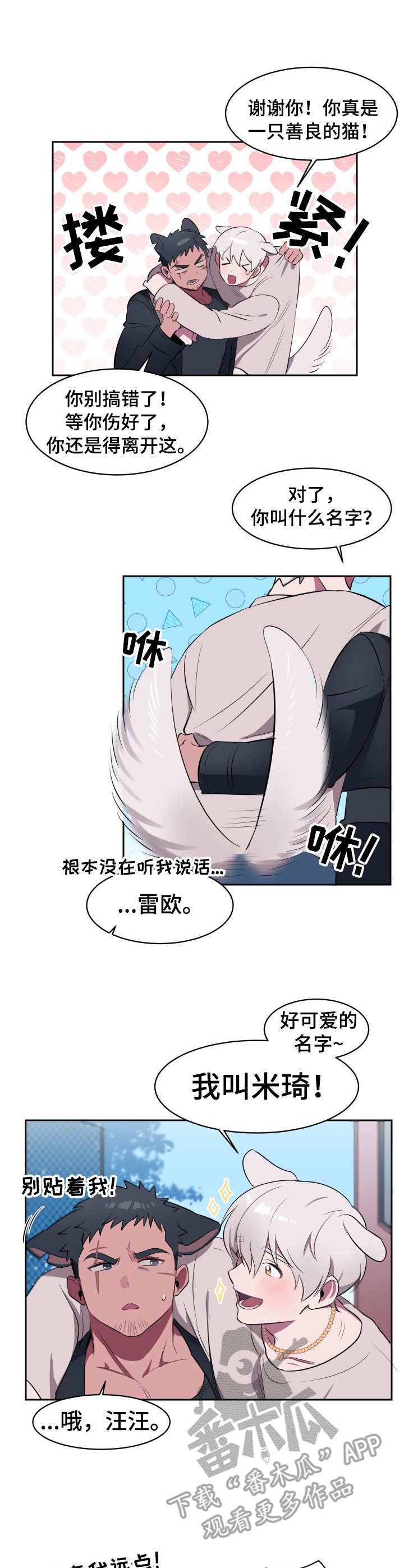 阿旺阿喵漫画,第2章：收留4图