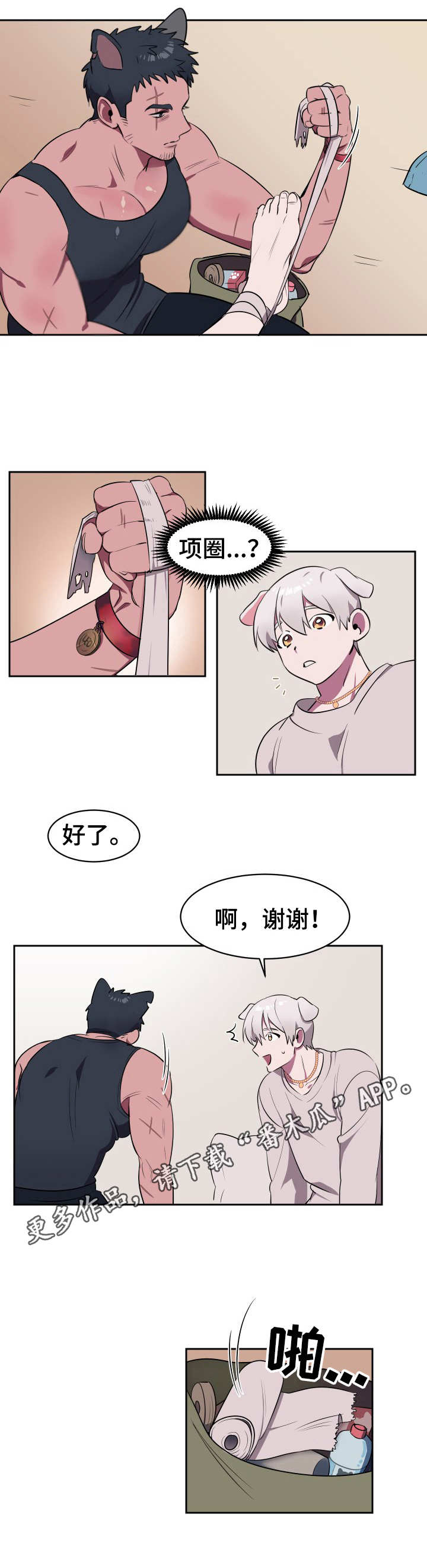 阿喵阿旺背心尺码测评漫画,第2章：收留3图