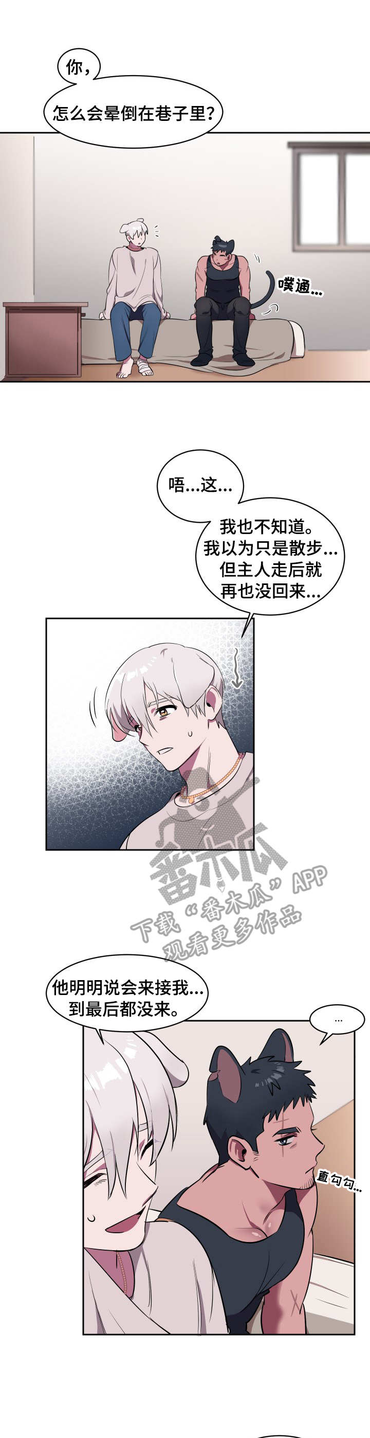 阿喵阿旺背心尺码测评漫画,第2章：收留4图