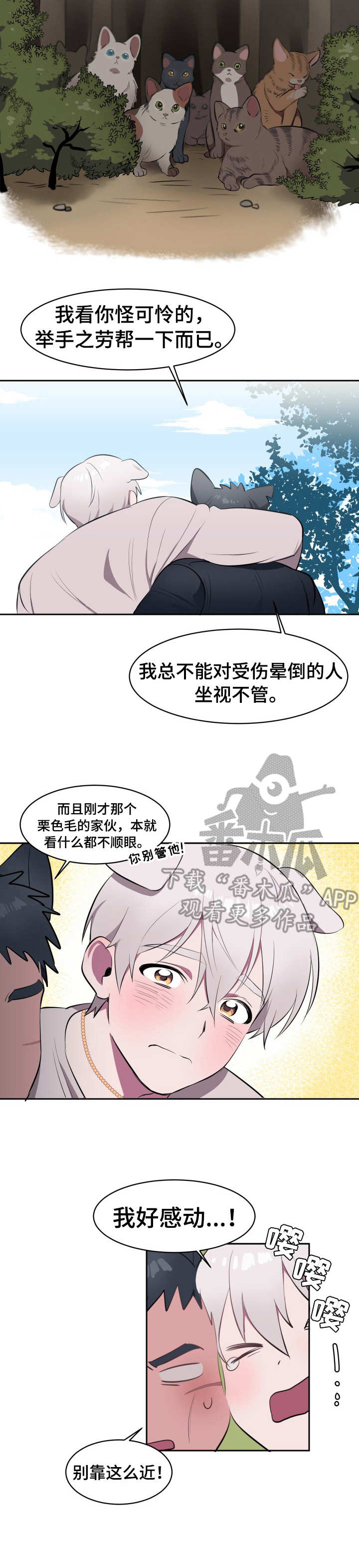 阿旺阿喵漫画,第2章：收留3图