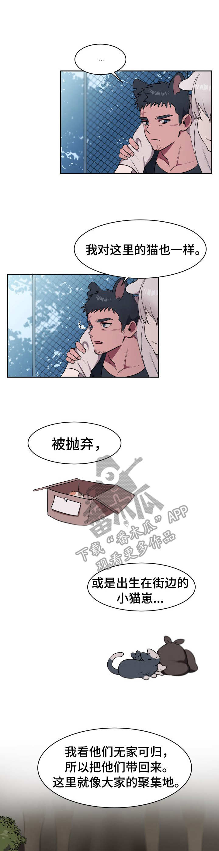 阿旺阿喵漫画,第2章：收留2图