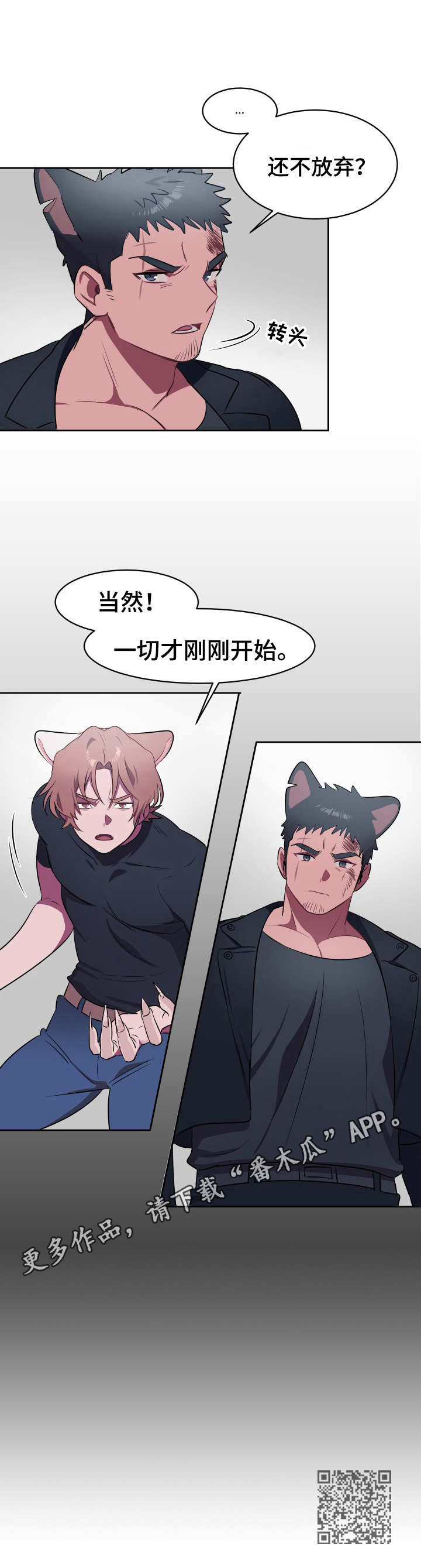徐州阿喵阿旺宠物店漫画,第8章：利爪5图