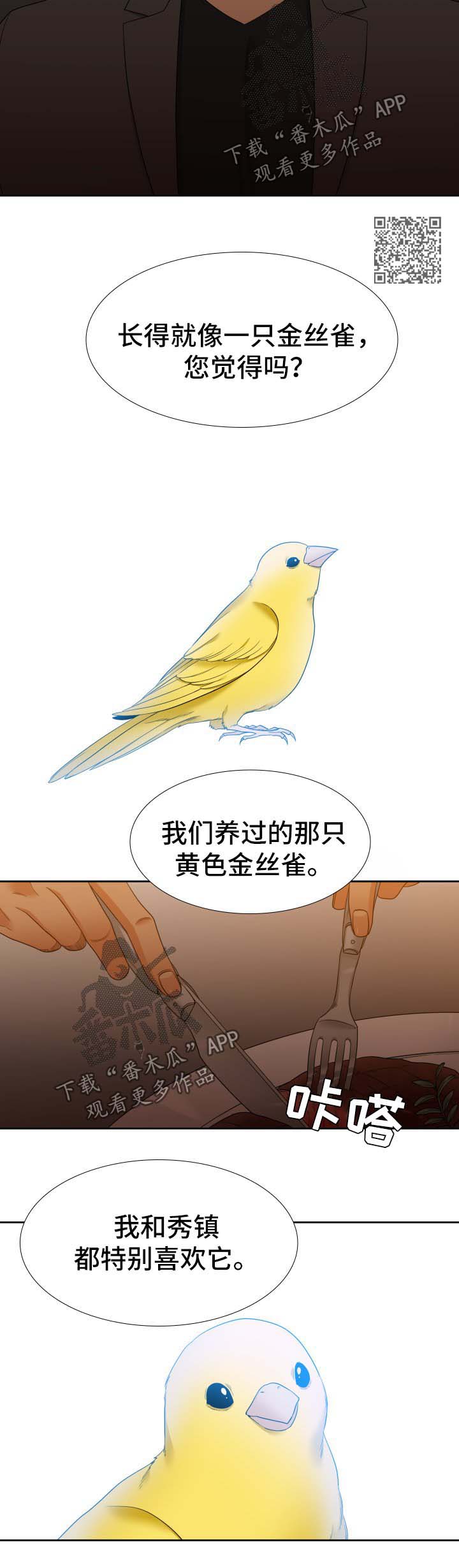 升组词漫画,第55章：金丝雀5图