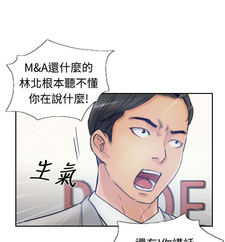 冒牌会长漫画,第28章：会议2图