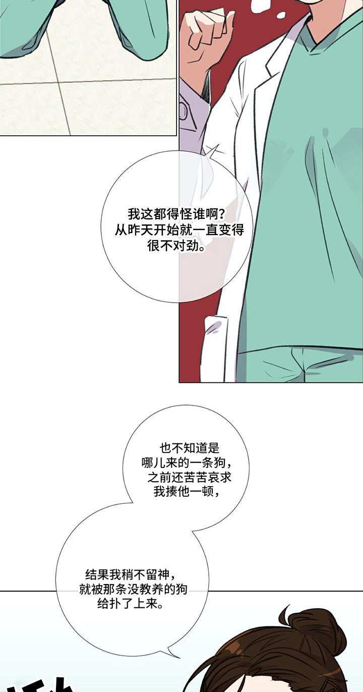 医生私生活漫画,第20章：挨打5图