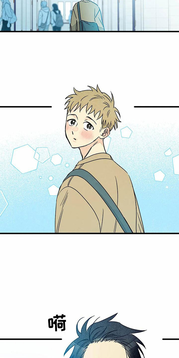 易感期大作战漫画,第12章：表白（完结）3图