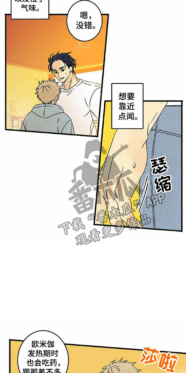 易感期tnt漫画,第6章：橙子香味4图