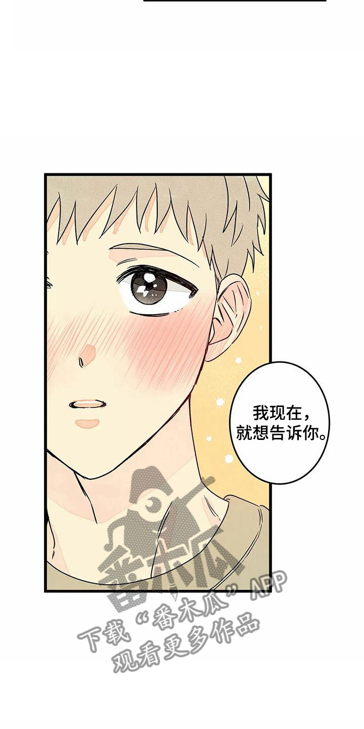 易感期大作战漫画,第12章：表白（完结）1图
