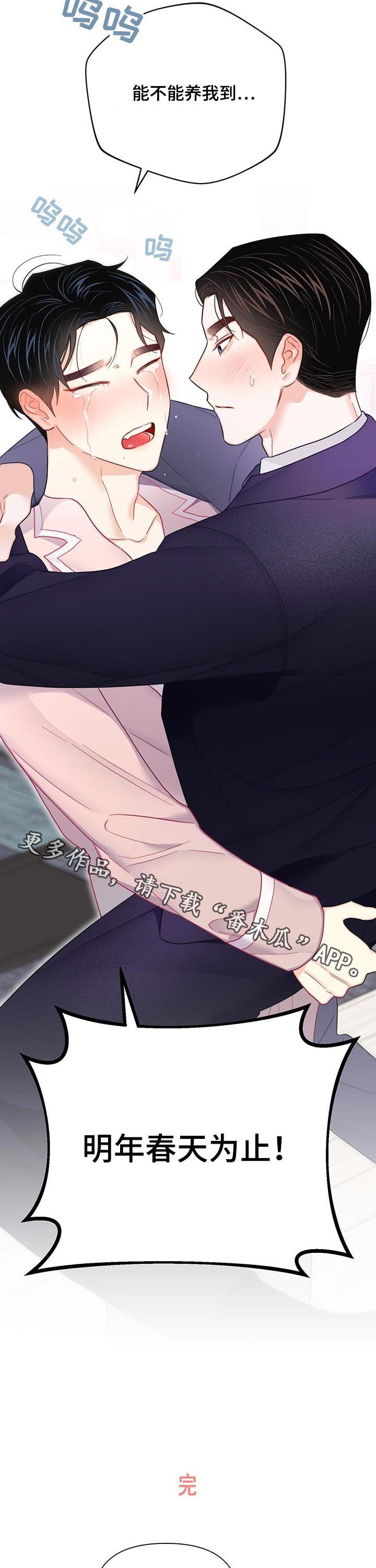 请继续爱我漫画,第75章：【第二季】老板跑路（完结）2图