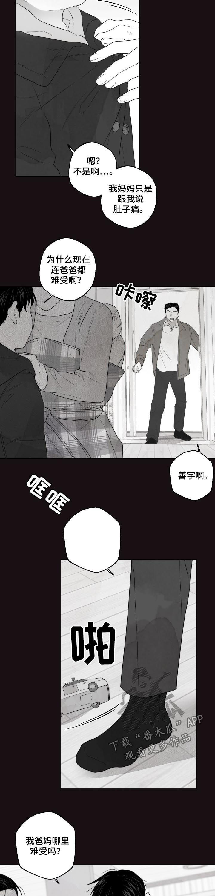 请继续爱我漫画,第45章：你才是疯子3图
