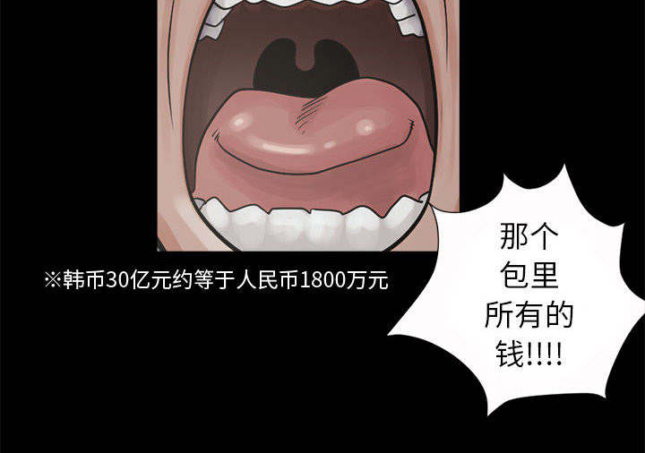 荒岛奇兵阵容攻略漫画,第5章：放下枪3图