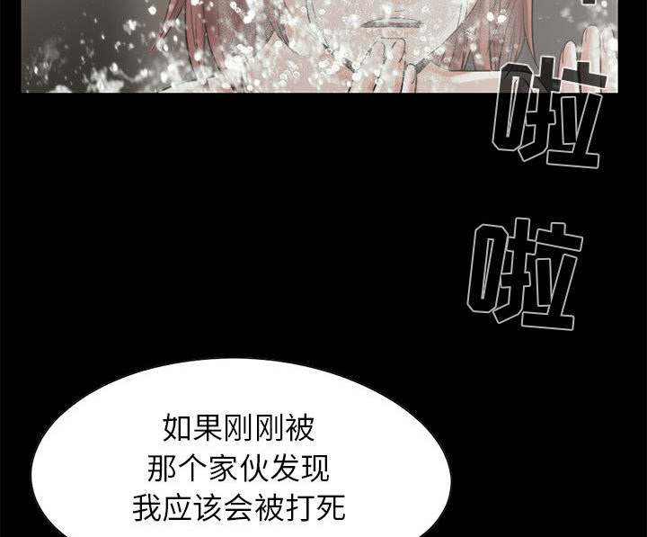 荒岛奇遇在哪免费看漫画,第35章：对视2图