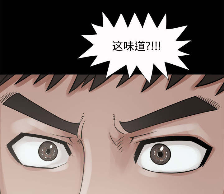 荒岛奇遇记介绍漫画,第9章：捷足先登2图
