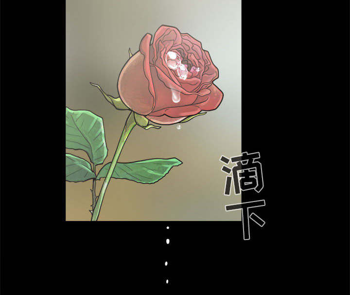荒岛奇遇记电影完整版漫画,第9章：捷足先登3图