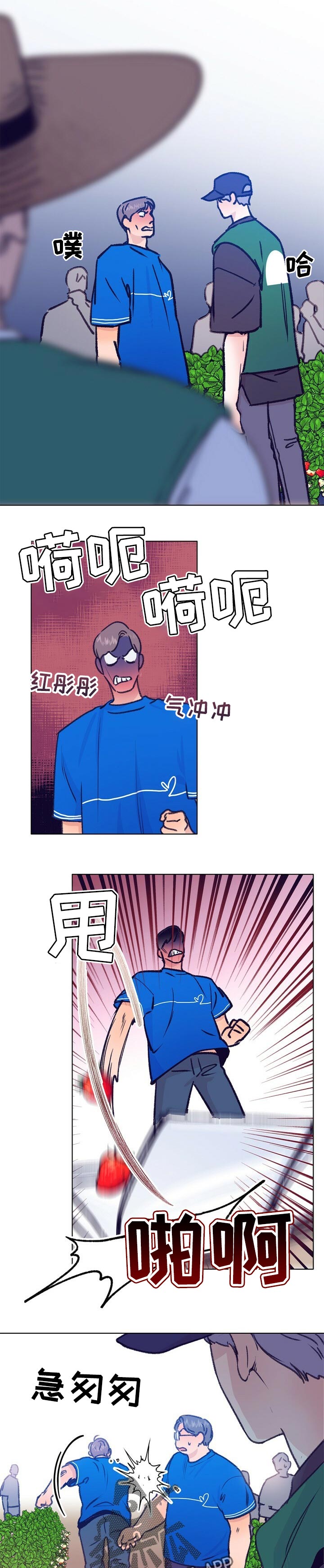 乡野旋律漫画,第67章：体验活动2图