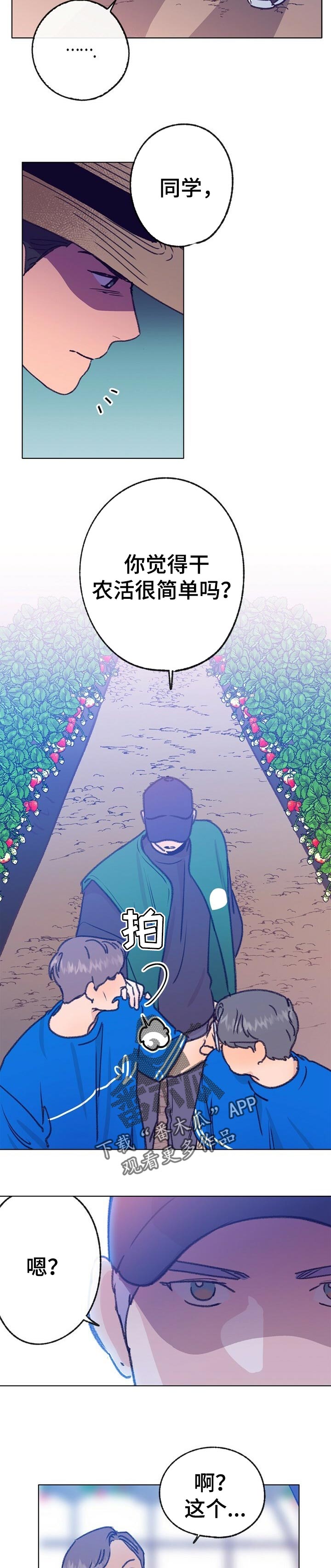 乡野旋律漫画,第67章：体验活动2图