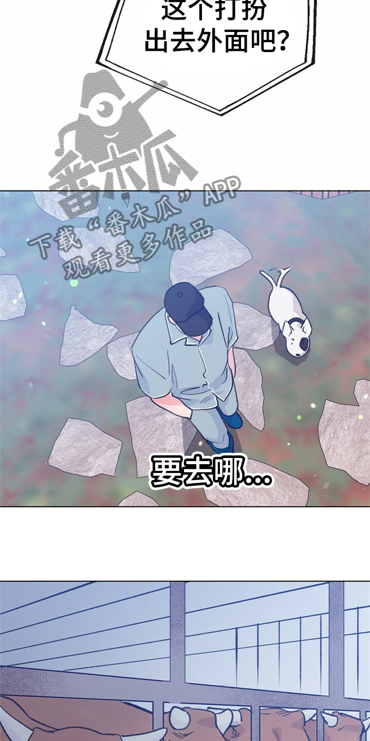 乡野旋律漫画,第155章：【第二季】日常综艺1图