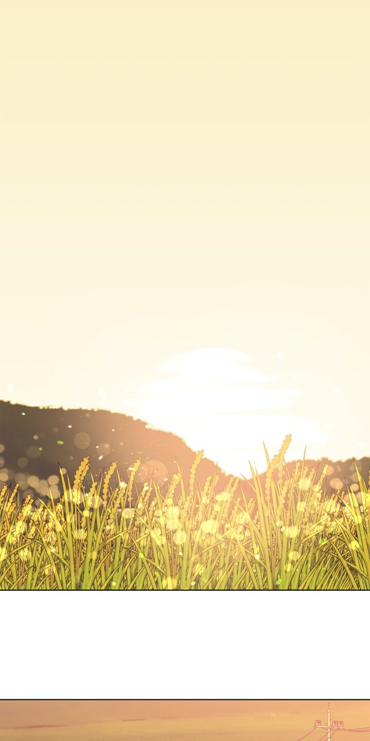 乡野旋律漫画,第141章：【第二季】金色的田野2图