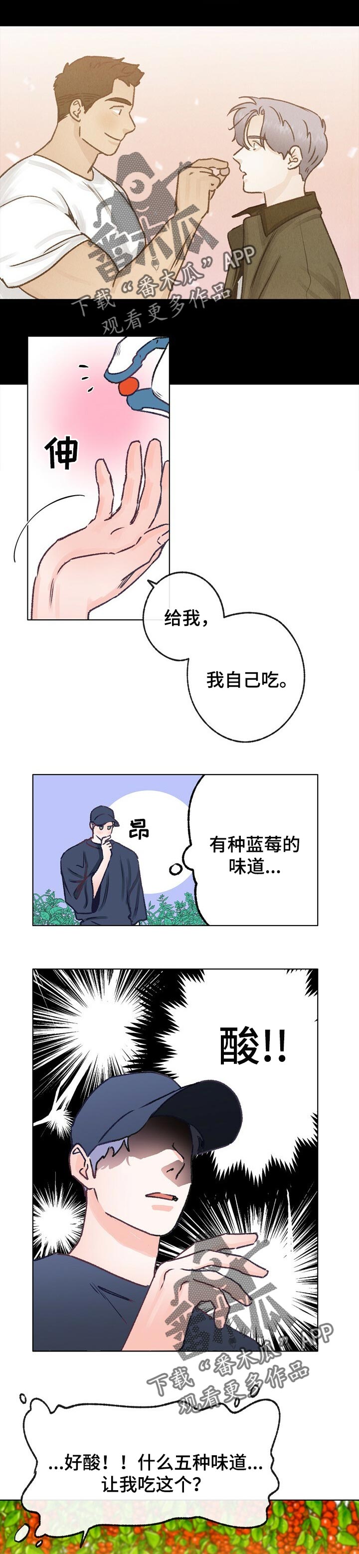 乡野旋律漫画,第61章：散步1图