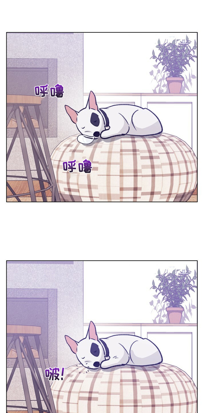 乡野旋律漫画,第154章：【第二季】最强者2图