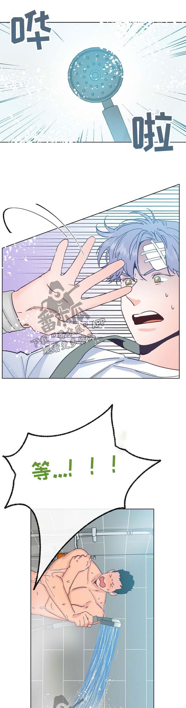 乡野旋律漫画,第35章：小鹿乱撞1图