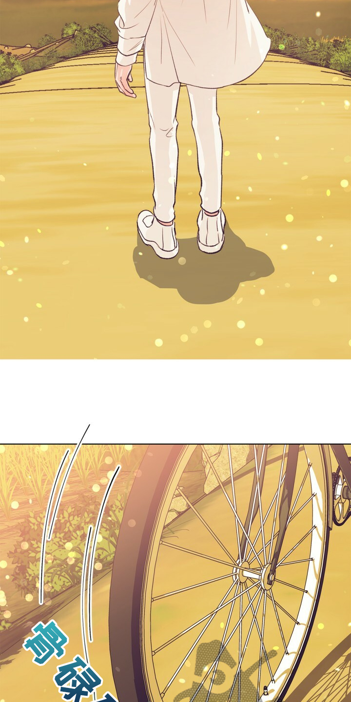 乡野旋律漫画,第141章：【第二季】金色的田野1图