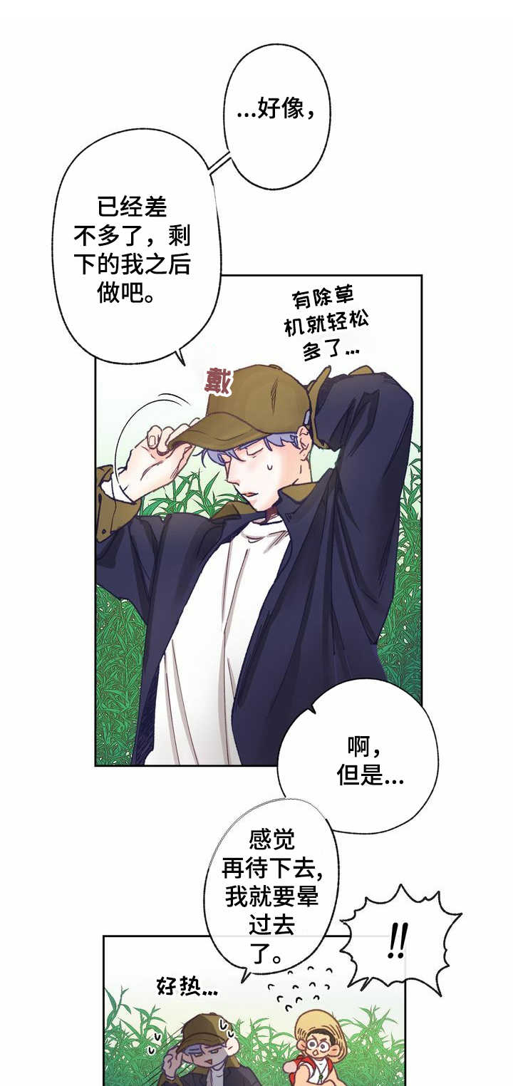 乡野旋律漫画,第10章：规划1图