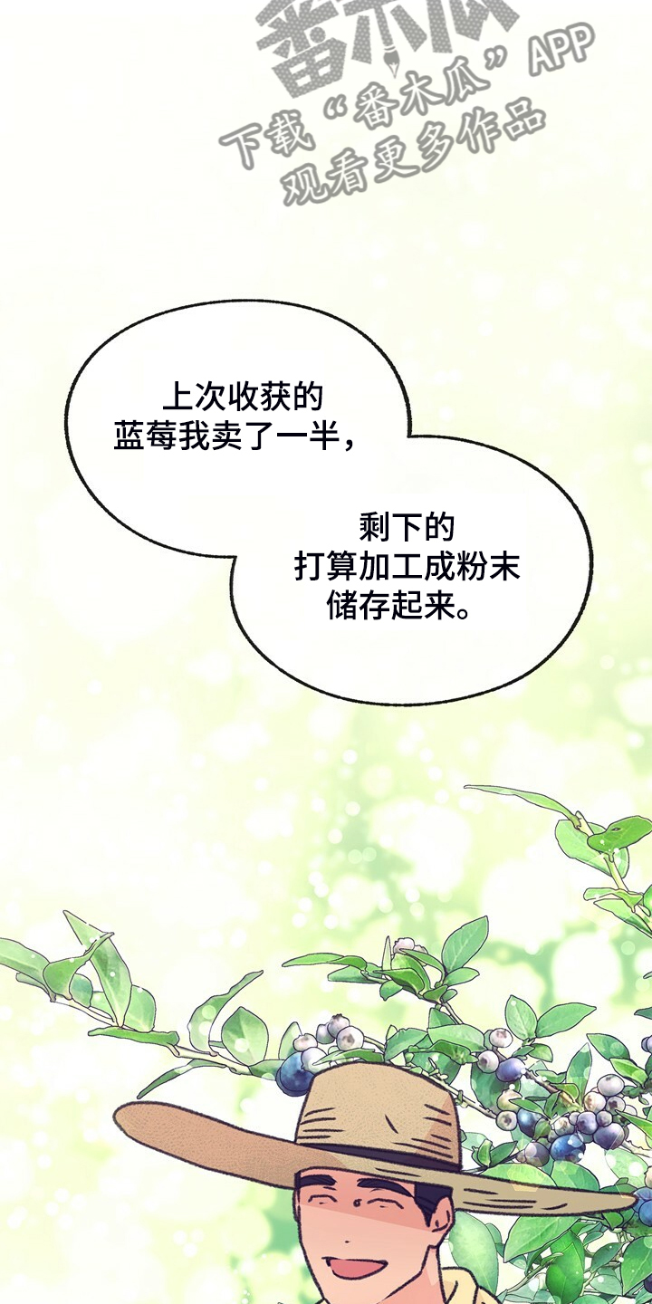 乡野旋律漫画,第137章：【第二季】我看不到2图