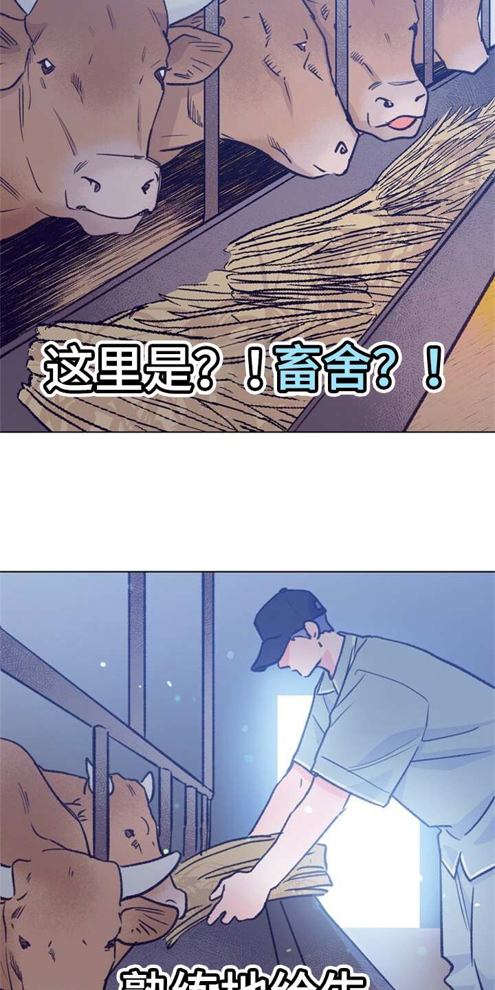 乡野旋律漫画,第155章：【第二季】日常综艺2图