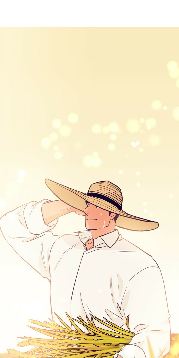 乡野旋律漫画,第141章：【第二季】金色的田野4图