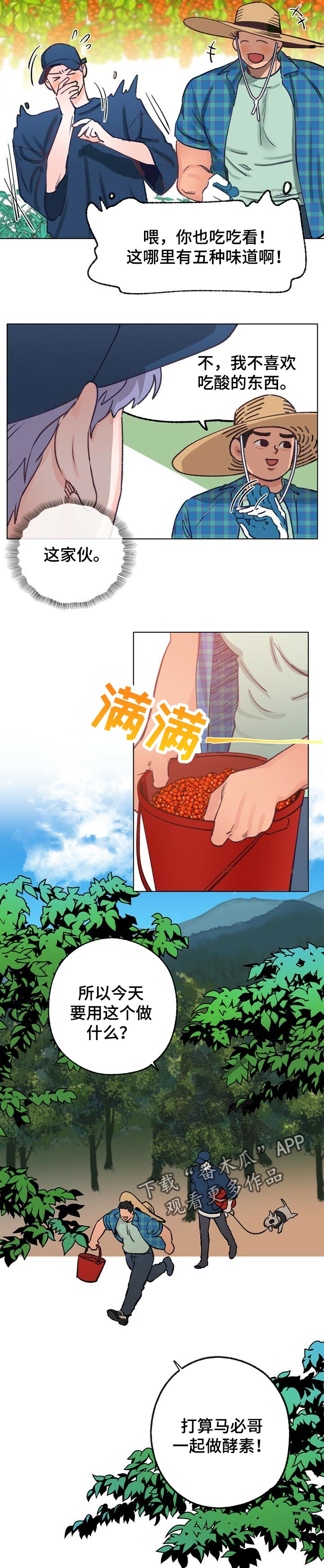 乡野旋律漫画,第61章：散步2图