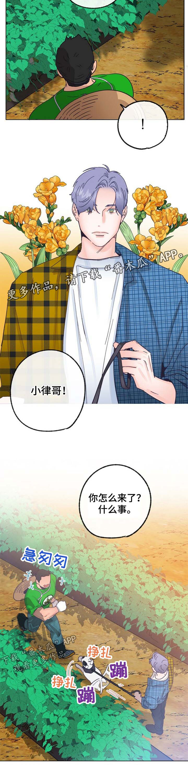 乡野旋律漫画,第42章：来人5图