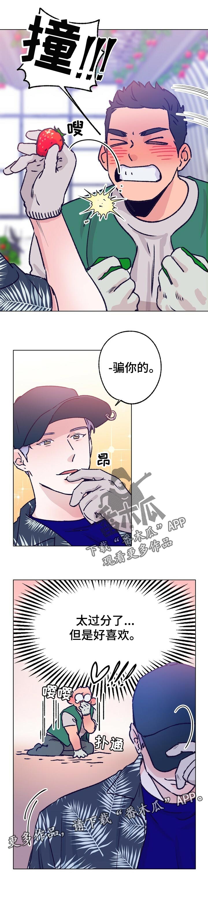 乡野旋律漫画,第64章：摘草莓1图