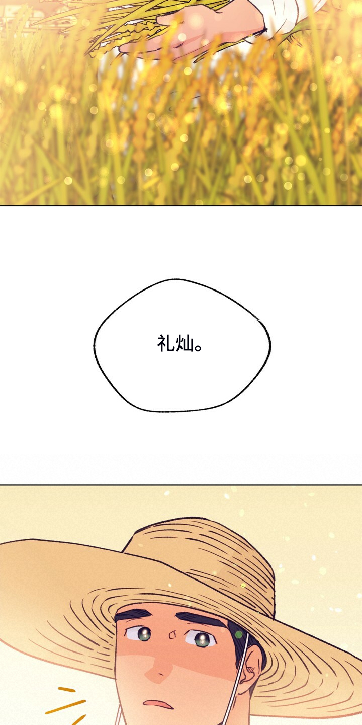 乡野旋律漫画,第141章：【第二季】金色的田野5图
