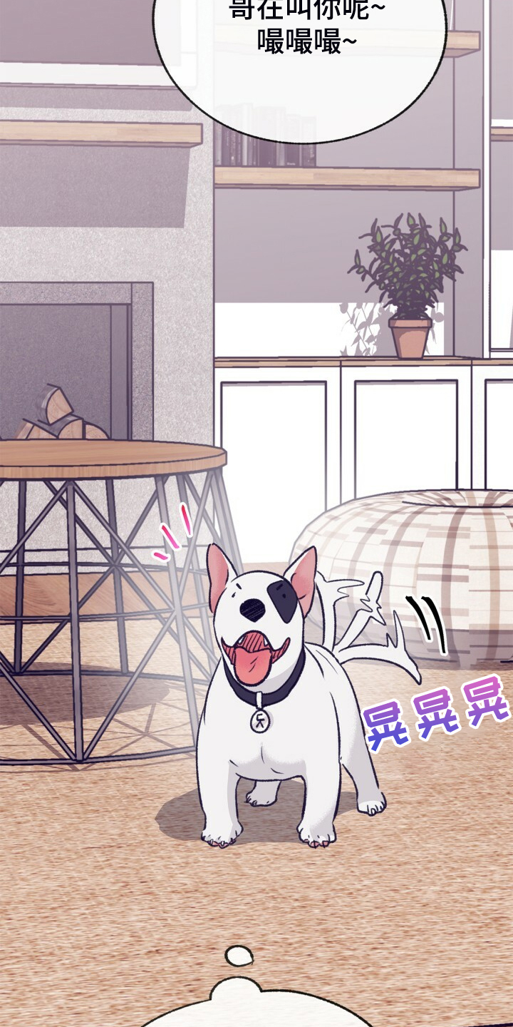 乡野旋律漫画,第154章：【第二季】最强者2图