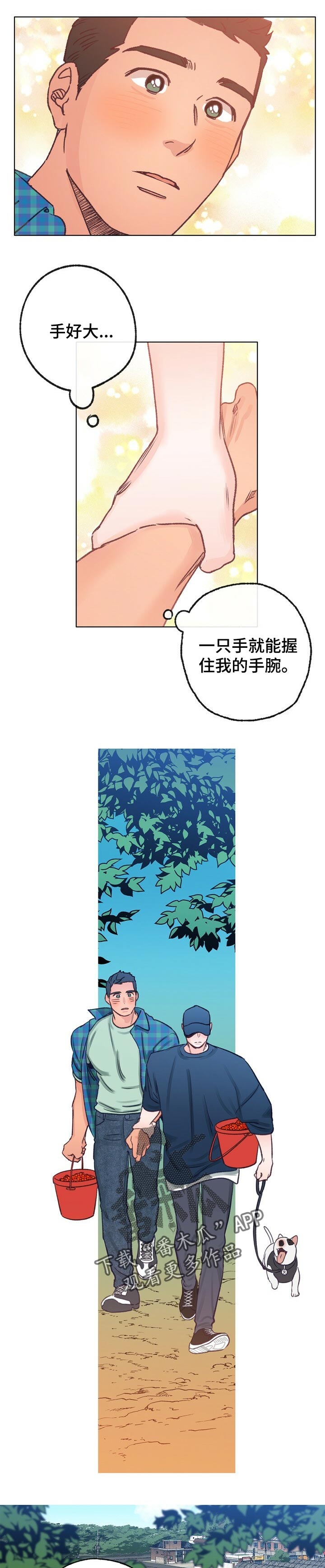 乡野旋律漫画,第61章：散步5图
