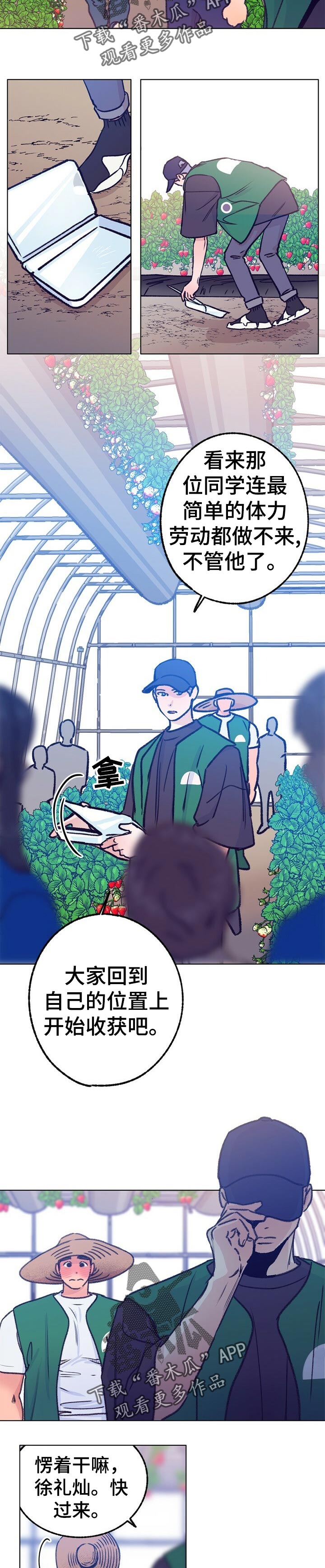 乡野旋律漫画,第67章：体验活动3图