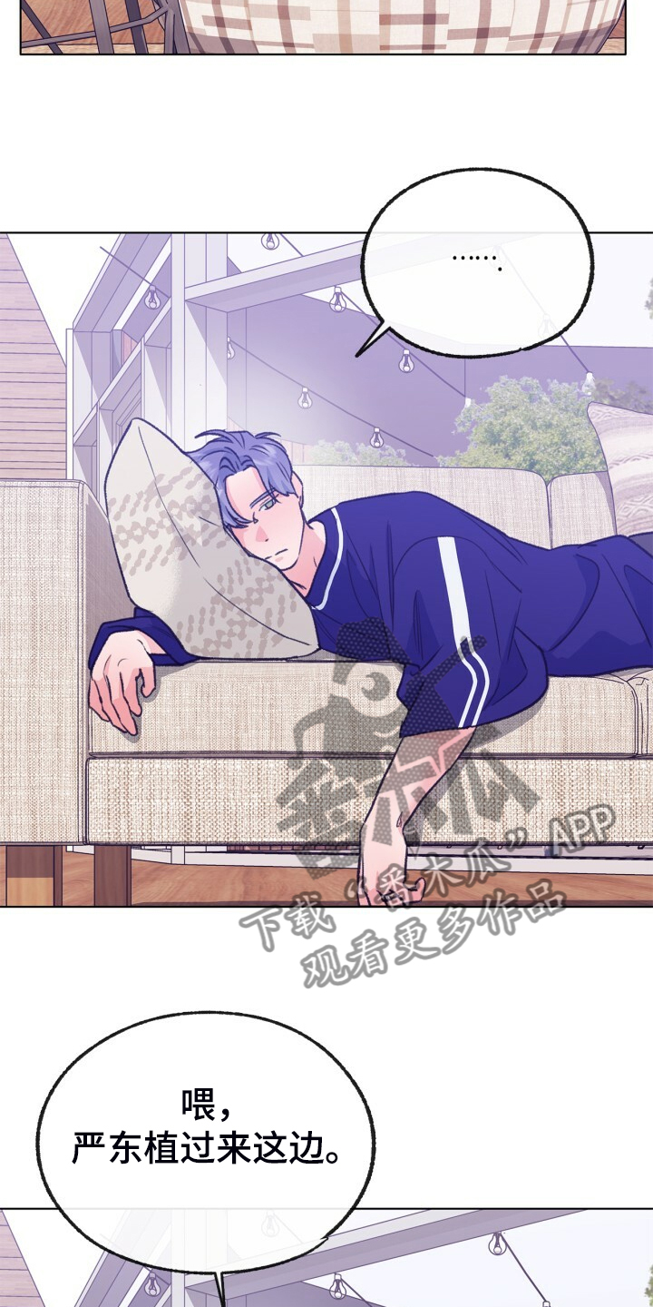 乡野旋律漫画,第154章：【第二季】最强者3图