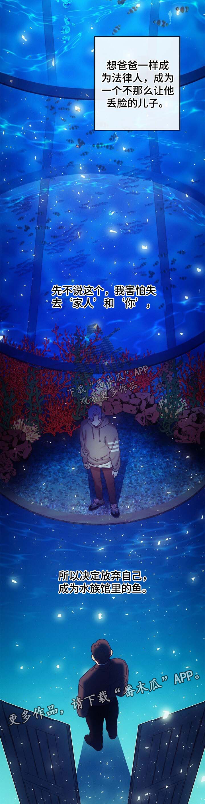 乡野旋律漫画,第43章：两人的感情4图