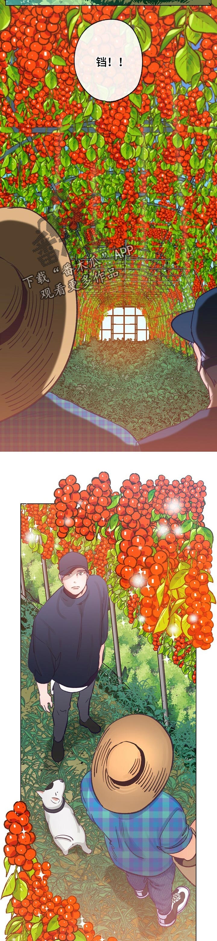 乡野旋律漫画,第61章：散步3图