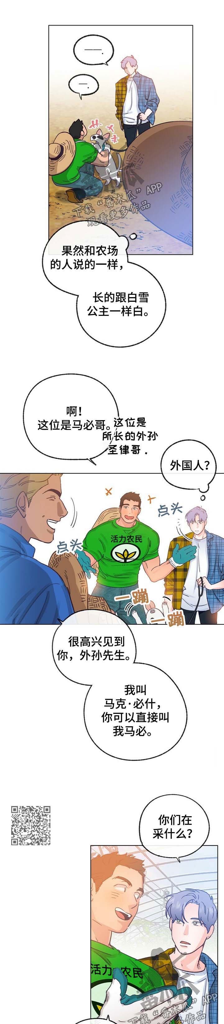 乡野旋律漫画,第42章：来人1图