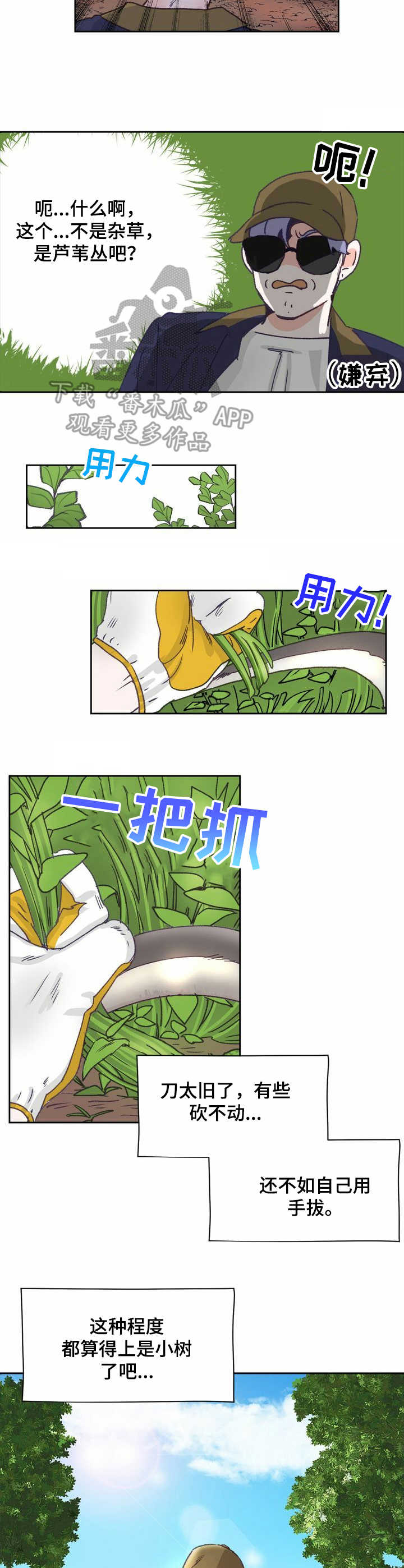 乡野旋律漫画,第8章：除草3图