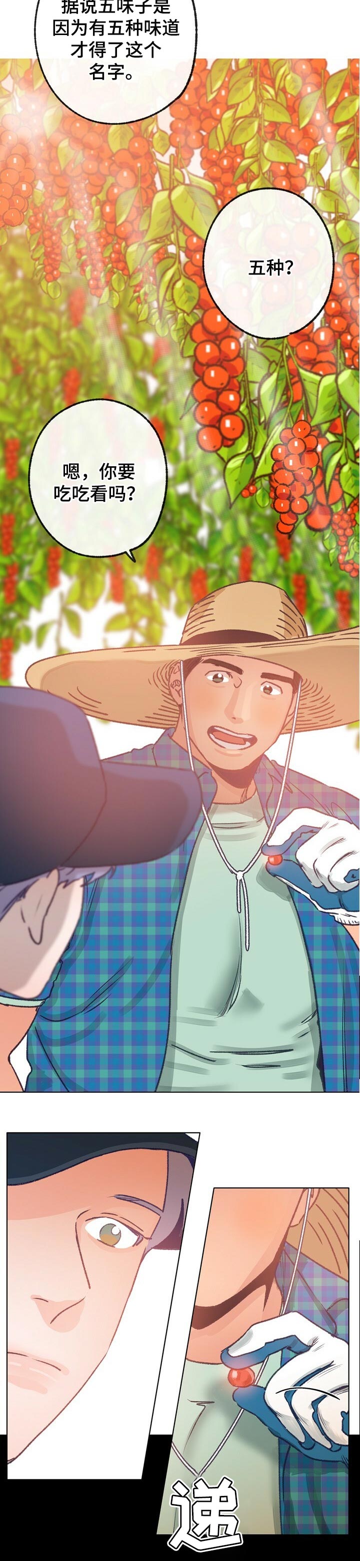 乡野旋律漫画,第61章：散步5图