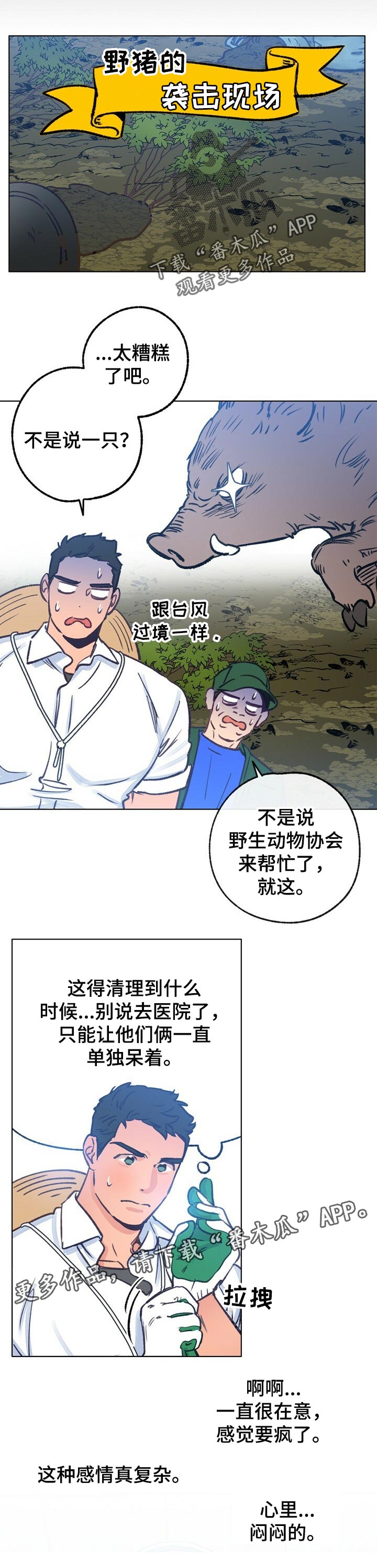 乡野旋律漫画,第53章：复杂的感情4图