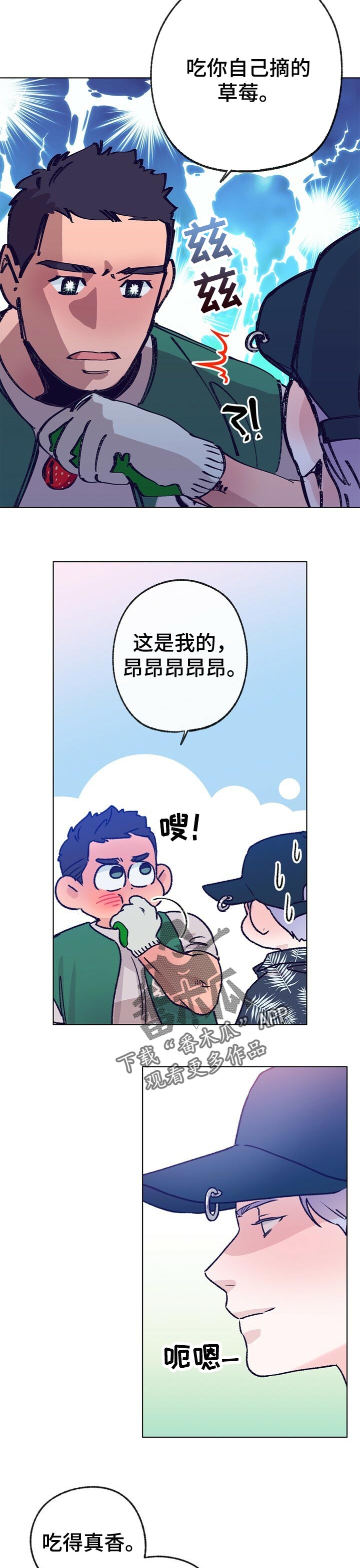 乡野旋律漫画,第64章：摘草莓4图