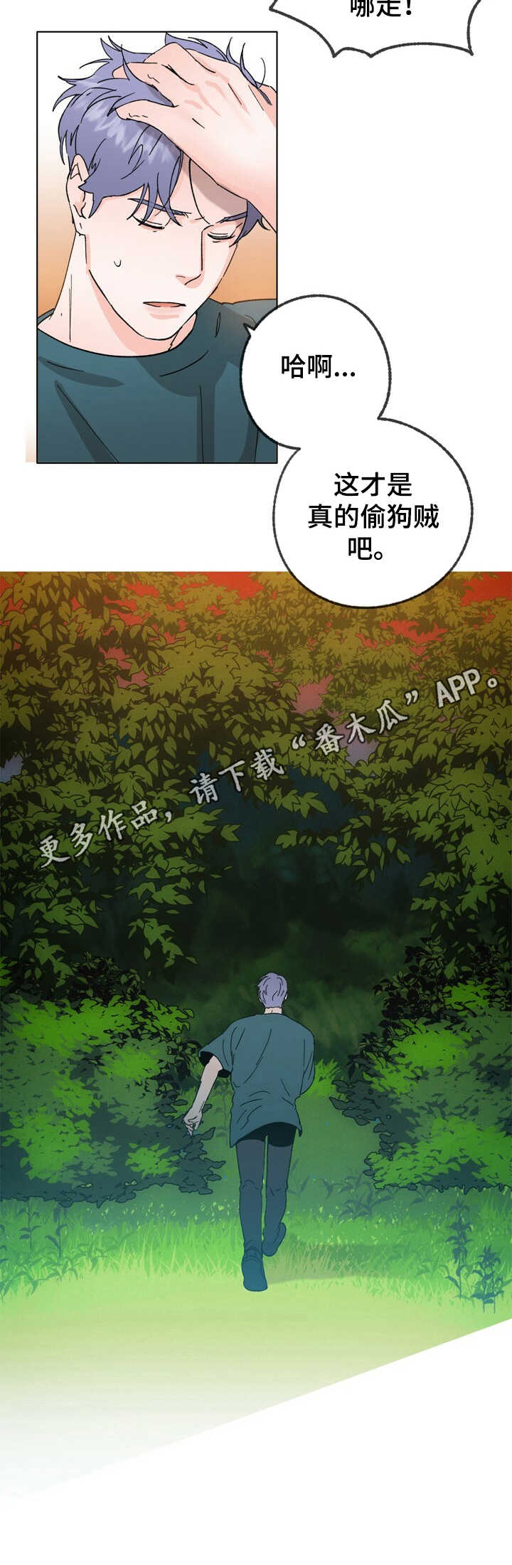 乡野旋律漫画,第23章：逃跑2图