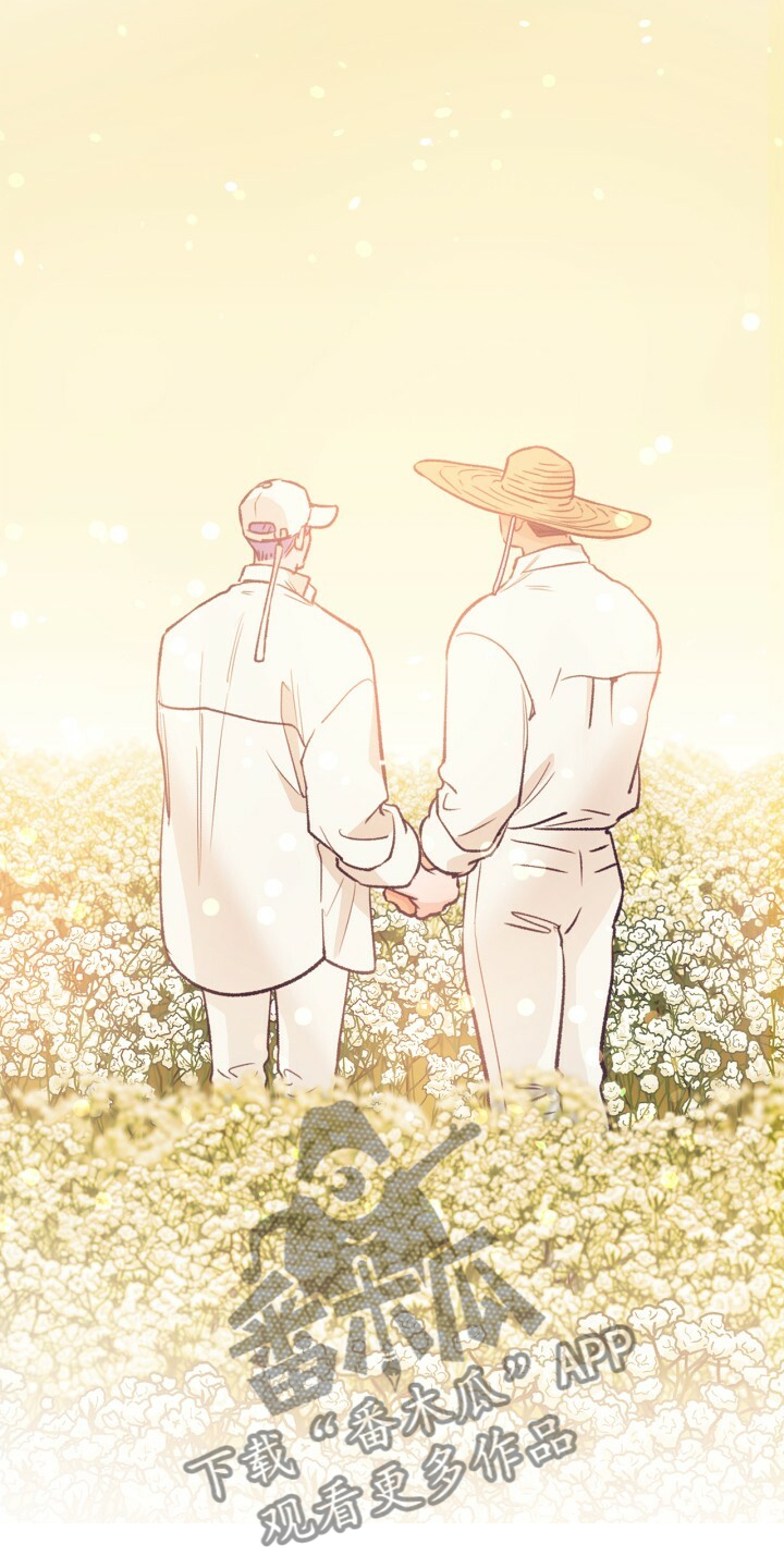 乡野旋律漫画,第141章：【第二季】金色的田野4图